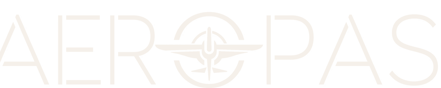 Aero Pas — My Personal Asset System